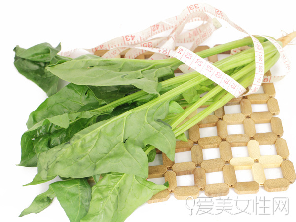 時令野菜| 美味健康兼顧的春之饗宴